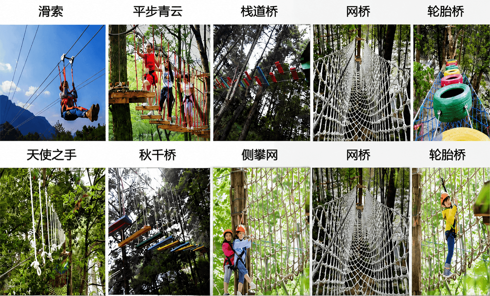 丛林穿越 图2