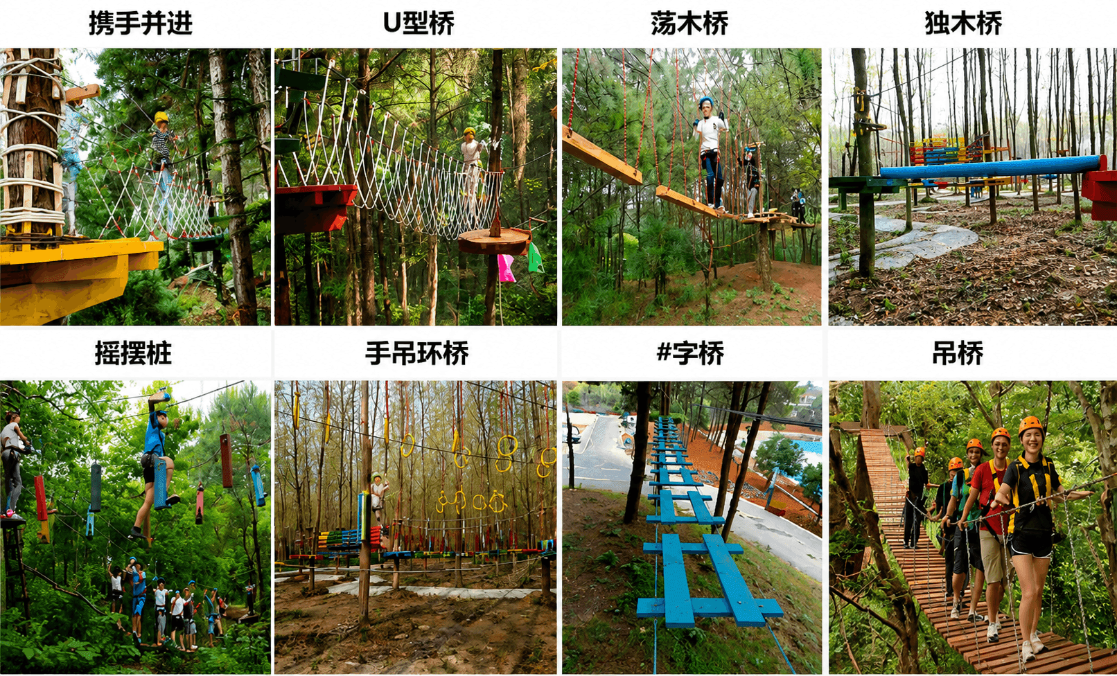 丛林穿越 图3