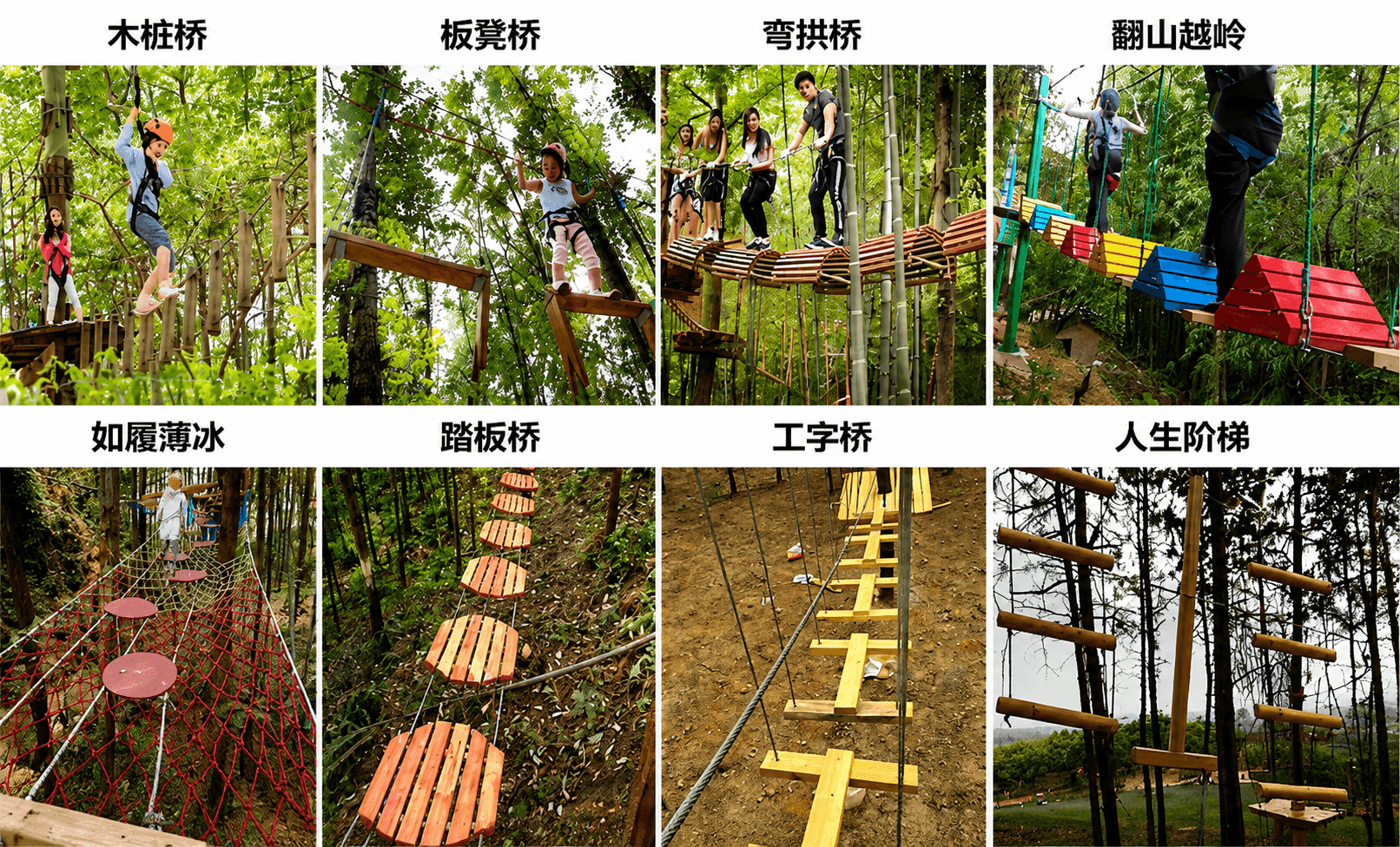 丛林穿越 图4