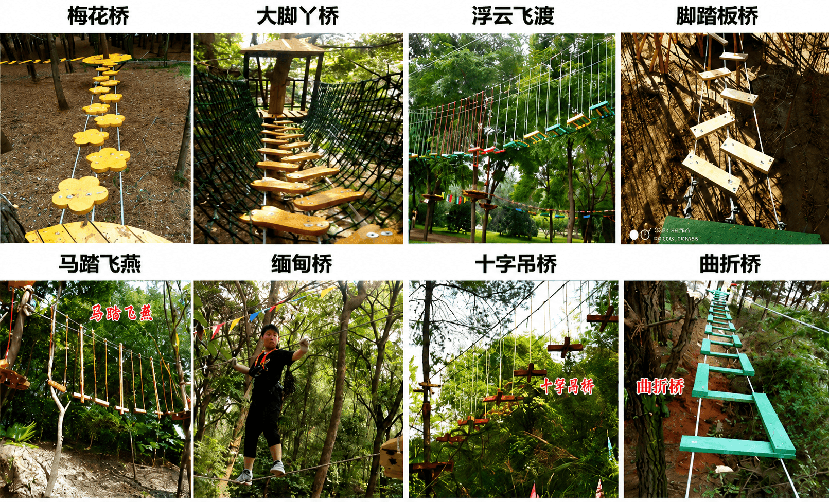 丛林穿越 图6