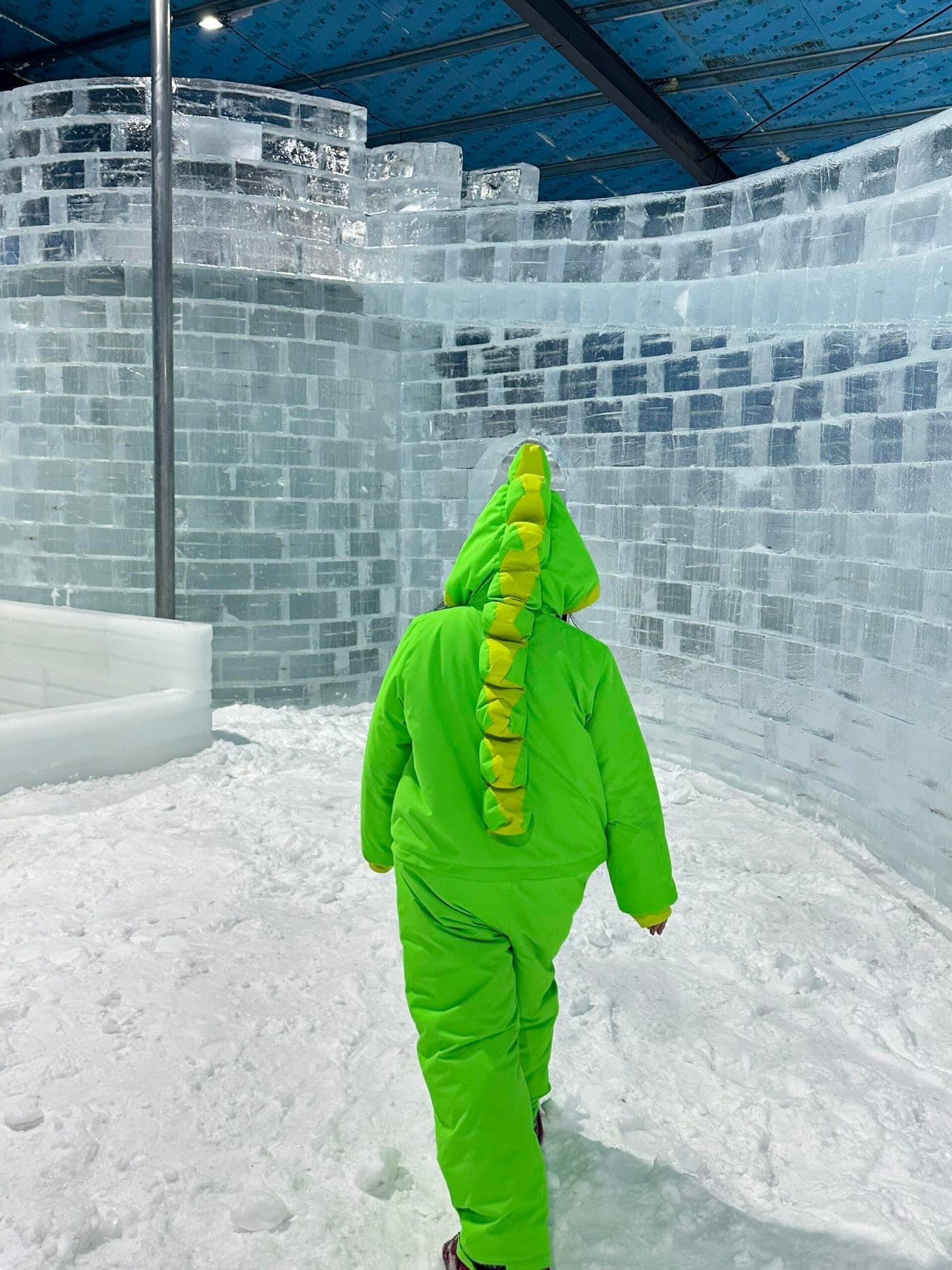 Adult Dinosaur One-Piece photo 5